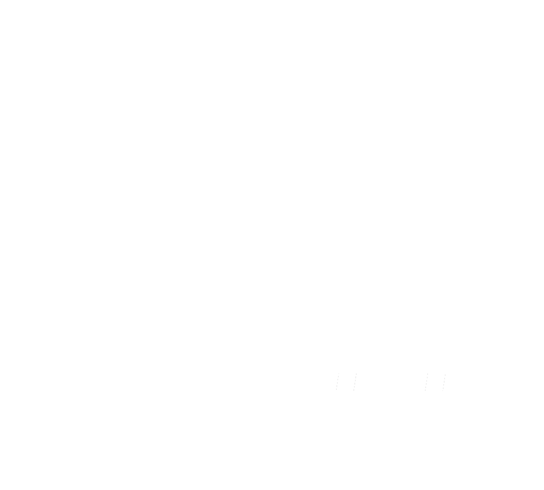 NaturalMotionGames Logo White Update NaturalMotionGames_Logo - White Update